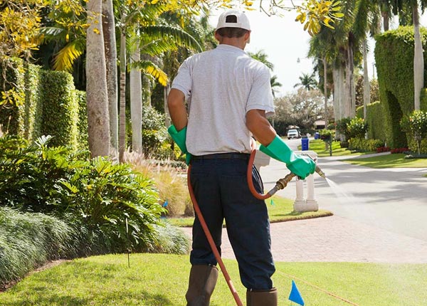 About Hilliard OH Pest Control